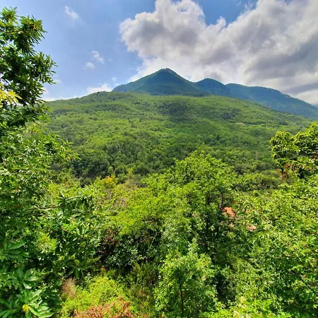 Il Girasole ...at Andorus' House Bed and breakfast Erli