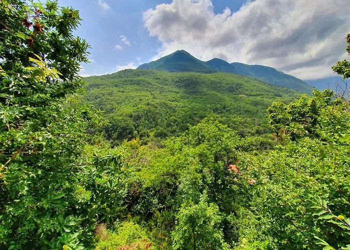 Il Girasole ...at Andorus' House Bed and breakfast Erli