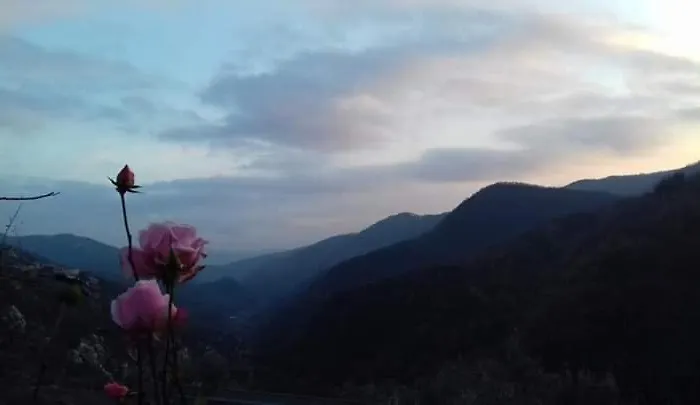 Il Girasole ...at Andorus' House Bed and breakfast *