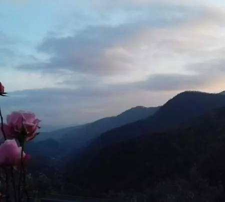 Il Girasole ...at Andorus' House Bed & Breakfast *